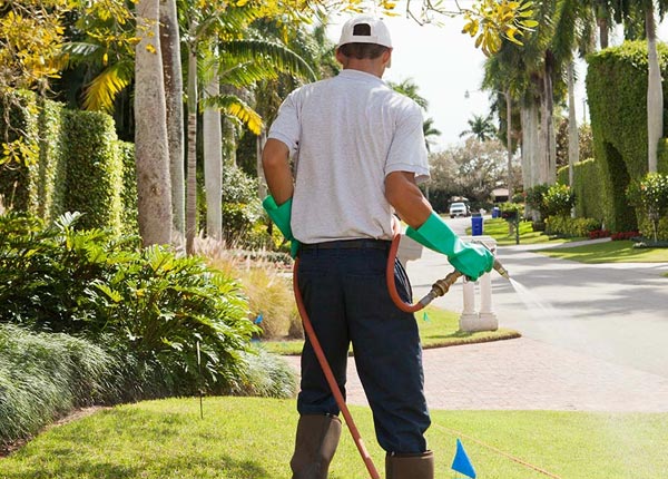 About Dalton MN Pest Control